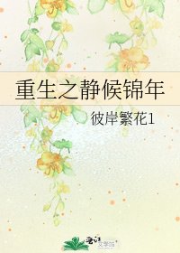 重生之靜候錦年