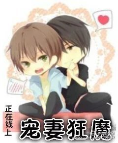 寵妻狂魔正在線上